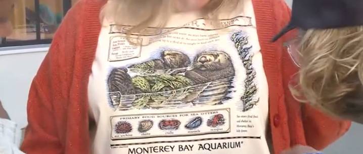 Taylor Swift-worn vintage tee drive raises $2.3 million for Monterey Bay Aquarium