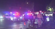 High-speed chase ends in crash in Arden