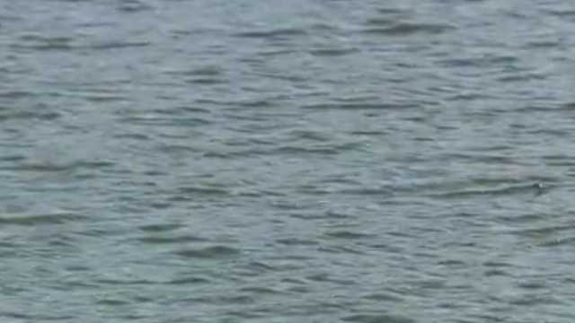 Investigation underway after drowning at Oak Mountain State Park