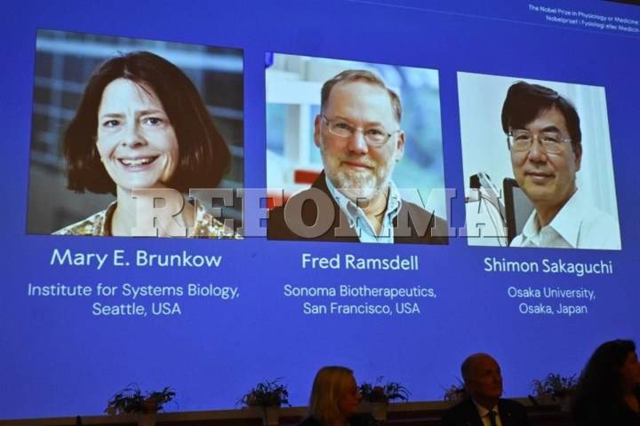 Dan Nobel a 3 científicos por trabajos  sobre sistema inmune
