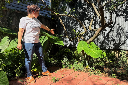 Antiguo artefacto romano reaparece en un patio trasero de Nueva Orleans