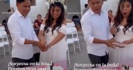 “Ni cómo enojarse con ellos.”: Perros de los novios tiran el pastel de boda justo cuando estaban por cortarlo