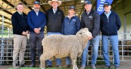 2025 Bundilla Poll Merino ram sale results, top buyers, clearance