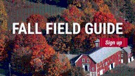 Fall in New England has never looked this good