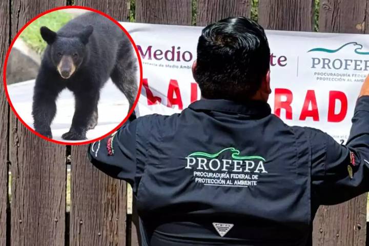 Imponen clausura total del zoológico La Pastora en Nuevo León por el caso de la osa Mina
