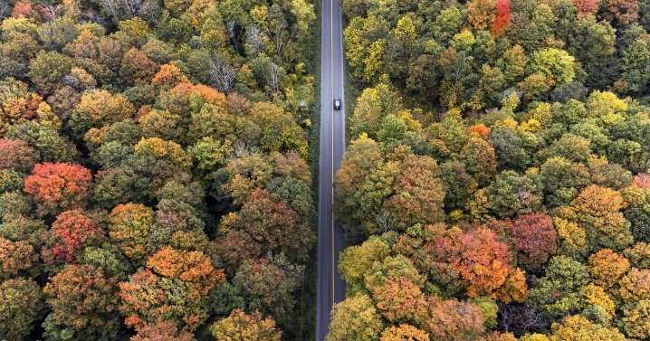Waterloo Region Record morning update for Oct 15