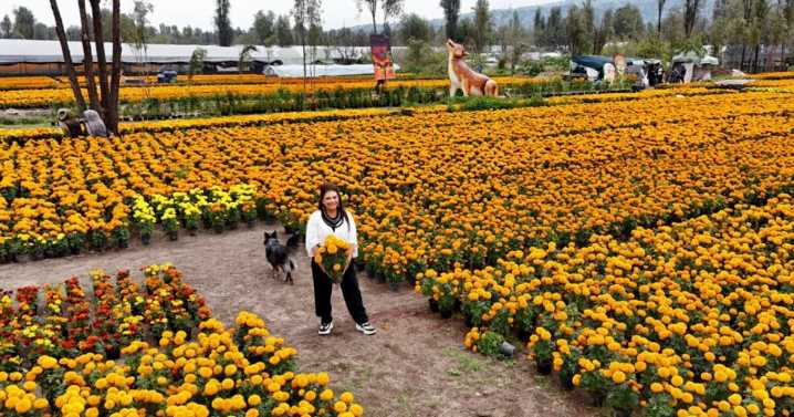 Día de Muertos 2025: Brugada presenta “Sendero de las Almas"; ¿qué actividades habrá en la CDMX?