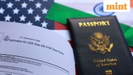 Are H-1B visa services affected by US government shutdown? US embassy clarifies
