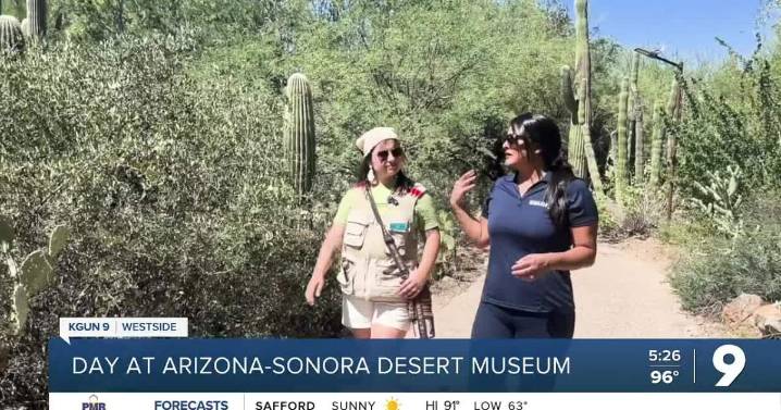 KGUN 9 News Anchor Callahan mentors UA journalism student on drought story