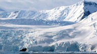 "Estamos viendo una respuesta acumulada del continente antártico en términos de cambio climático", Alex Godoy, experto del IPCC