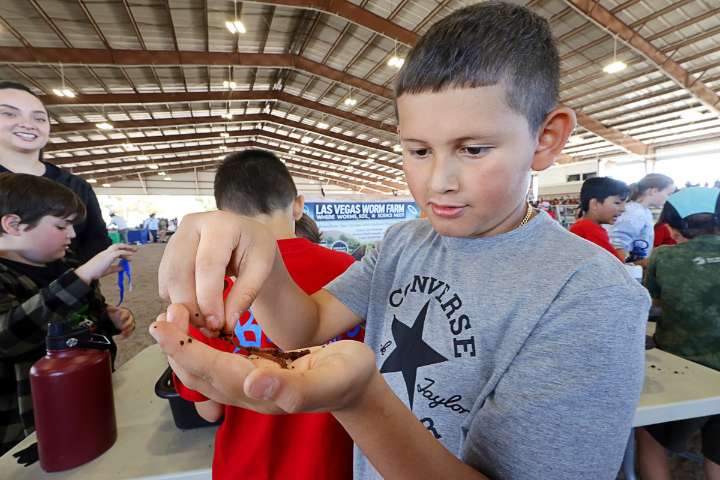 At Farm Fest, young Las Vegas learners discover that even desert soil can come alive