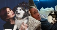 Perrito de Ozzy Osbourne muere a tres meses del deceso del cantante: “Ahora está con él”
