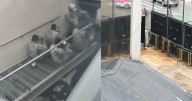 Elementos de la Guardia Nacional entran al Senado; legisladora acusa ‘invasión’