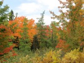 Claudia Myers column: That fall feeling