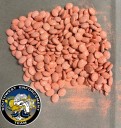 Cass County narcotics bust nets meth, ‘shrooms, and LSD
