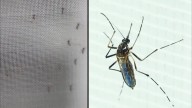 La Crosse, serious mosquito-borne illness, spreads across Ohio