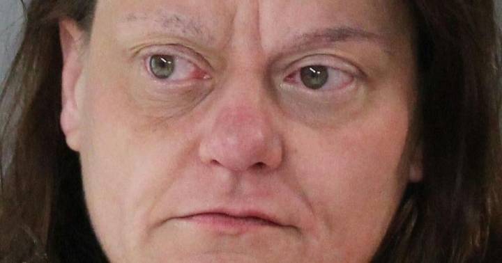 Police: Twin Falls woman admitted to making trips to bring drugs to Idaho
