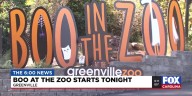 Boo at the Zoo begins in Greenville