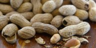 Study shows massive decline in peanut allergies after previous experts proven wrong