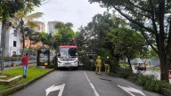 Árbol gigante se desplomó y bloqueó ambos sentidos a la altura del Hospital Pablo Tobón Uribe