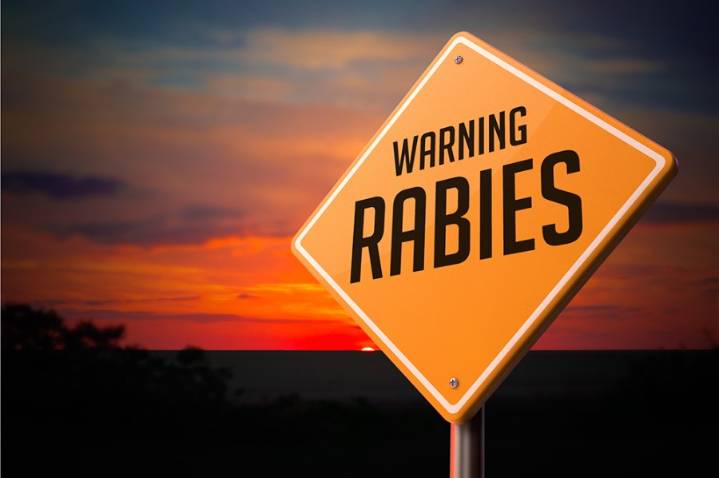 3 pets exposed to rabies in two Upstate counties