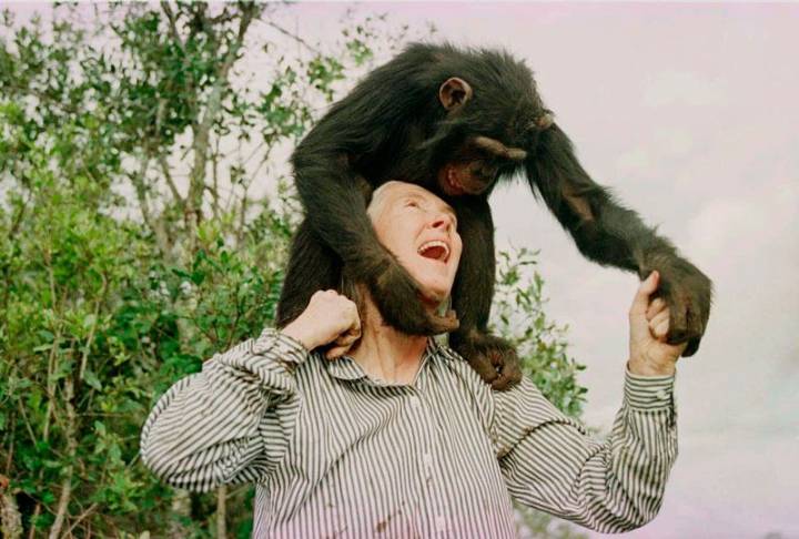 The eternal legacy of Dame Jane Goodall