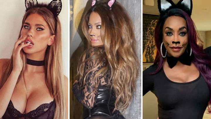Celebrity Black Cats To Celebrate National Cat Day ... Meooow!