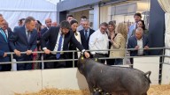 Sepor abre en Lorca las puertas de su 58 edición centrada en la sostenibilidad del sector ganadero