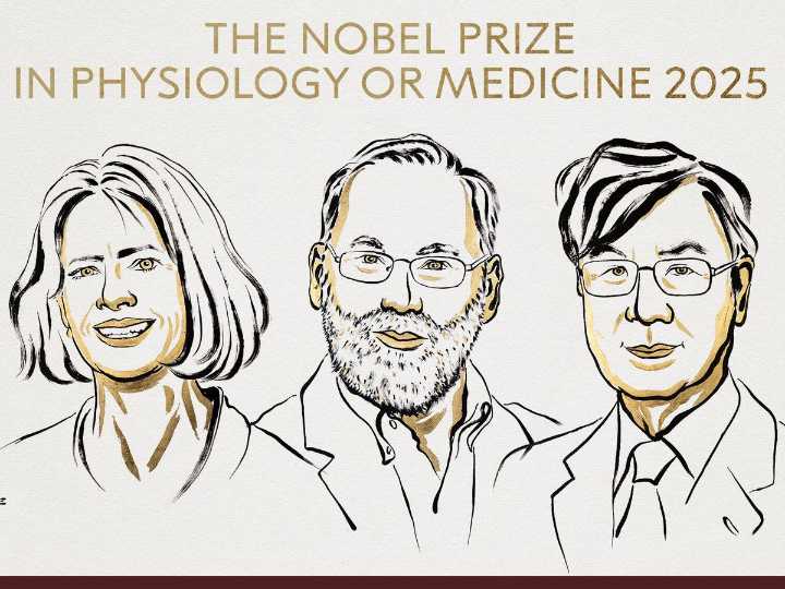 Premio Nobel de Medicina 2025; tres científicos descubren clave de la tolerancia inmunológica