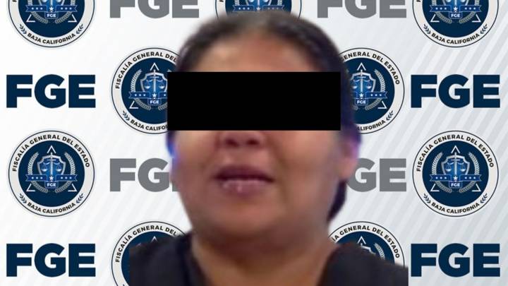 Vinculan a Dueña de Albergue Animal en BC por Maltrato; Había Más de 200 Perros en Desnutrición