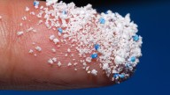 Microplásticos, gripe aviar e inmunoterapia, a debate esta semana en Cáceres