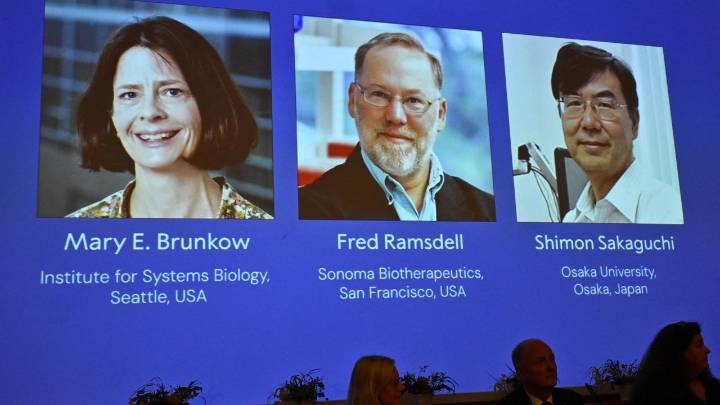 El Premio Nobel de Medicina, para los descubridores de los «guardianes» del sistema inmune