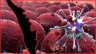 One in six men in Kerala prone to cancer