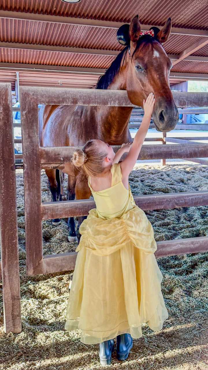 Festival for adaptive horseback riding gallops in