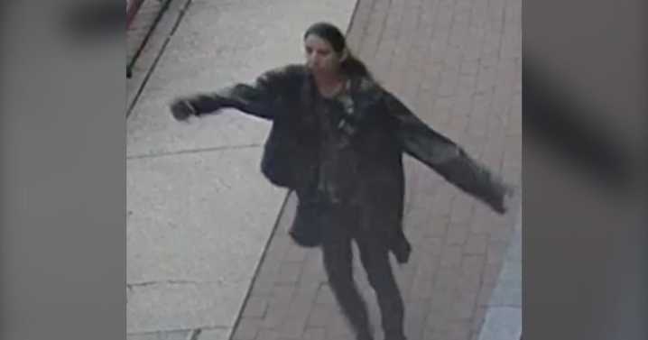 Vancouver crime: Yaletown stabbing suspect photos released