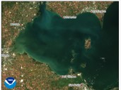 No more algal bloom updates via email until shutdown is over, NOAA says