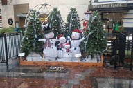 Festival of trees tickets on sale now