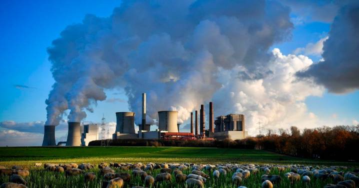 El CO2 en la atmósfera llegó a su máximo histórico en 2024: "La temperatura seguirá en escalada"