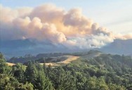 Palo Alto buries power lines, boosts education to lower wildfire risks
