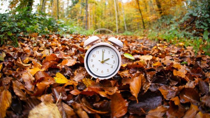 Clocks fall back this weekend: What Daylight Saving Time means for Canadians