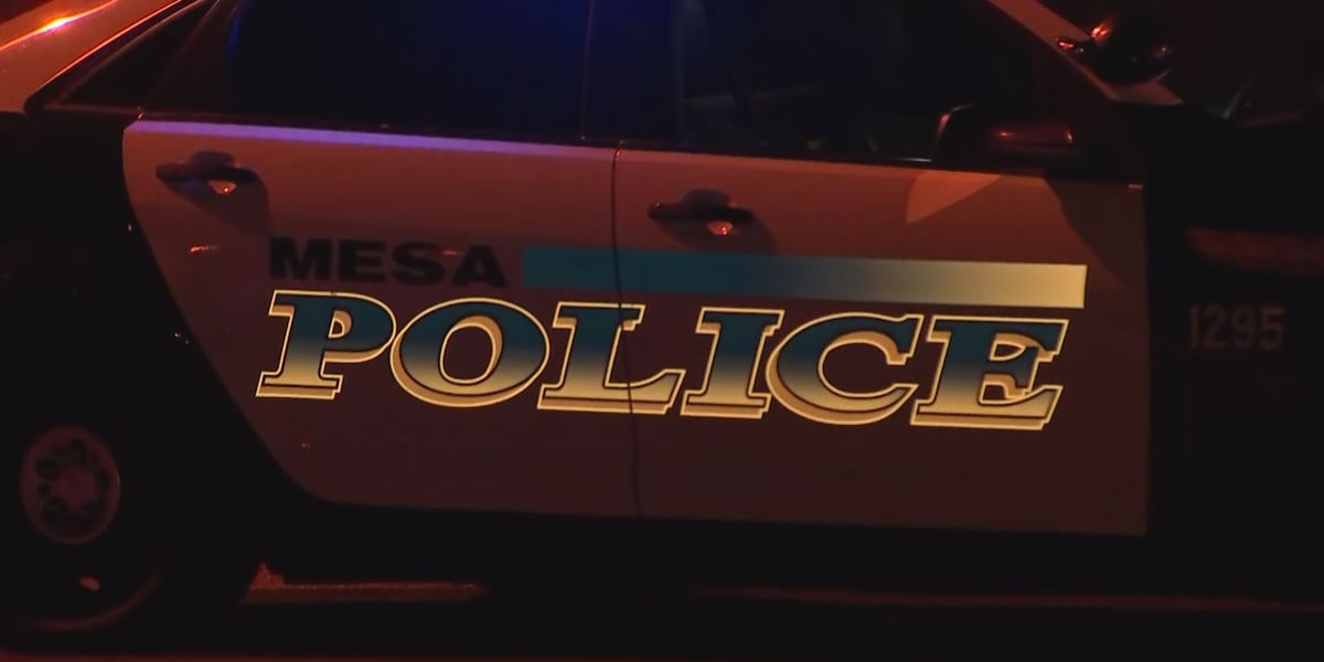 Motorcyclist seriously injured after crash in Mesa
