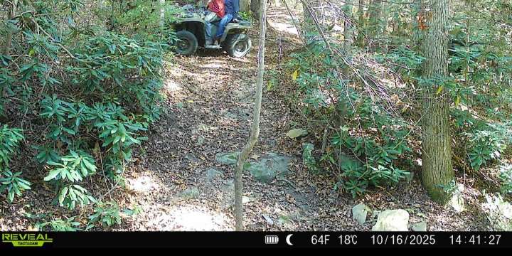 Sheriff’s Office looking for men of interest in theft case