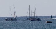 Grupo de abogados denuncia violaciones “sistemáticas” por parte de Israel a los derechos de activistas de la flotilla