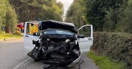 Blair Drummond Safari Park staff raced to help at five A84 crashes as safety campaign continues