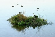 La Fundación Moeve impulsa una alianza para proteger la Laguna Primera de Palos y favorecer la agricultura de Huelva