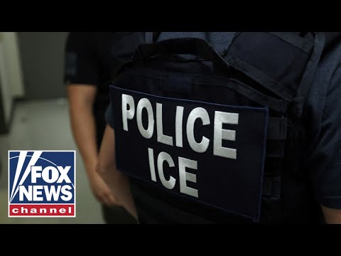 DETAILS: ICE faces MASSIVE overhaul to ramp up deportations