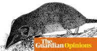 And then there were none: Australia’s only shrew declared extinct