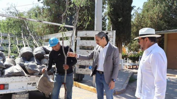 Entregan organizadores del Border Wine Fest 15 árboles tras incendio