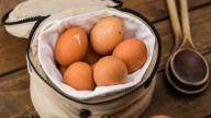 India's farm egg problem: Rotten, smelly, discoloured