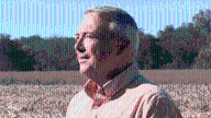 Tennessee farmers grapple with rising costs, falling prices amid tough harvest season